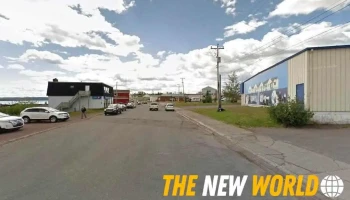 Beauty Bliss - Botwood