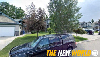 Bijan Consulting - Chestermere