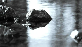 By the Creek Design - Fox Creek