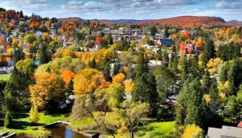 Calver Immigration Consulting (Muskoka) - Bracebridge