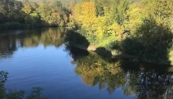 Campagne au Centre-Ville de Baie-St-Paul - Baie-Saint-Paul