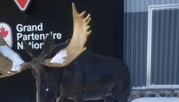 Canadian Tire - Amos