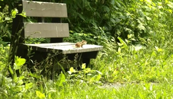 Caresson Nous - Cap-Chat