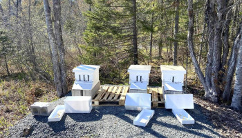 Country Fields Beekeeping Supplies - Fall River