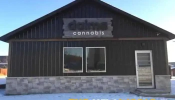 Daima Cannabis - Chetwynd
