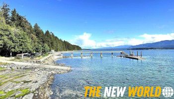 Denman Island West Bc Ferries Terminal - Bc