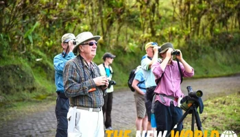 Eagle-Eye Tours - Invermere