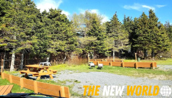 Elliston Municipal Park - Elliston