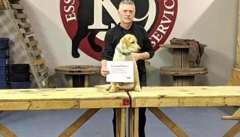 Essex County K9 Services - Essex
