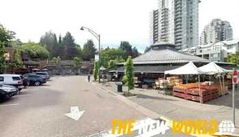Gohar It consulting Inc - Port Moody