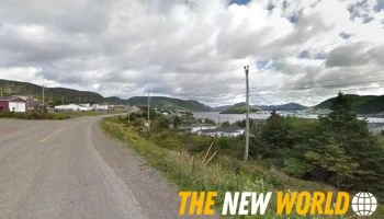 Harbour Breton Lumber Yard - Harbour Breton