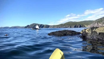 Lodge Adventure Tours - Trinity Bay North