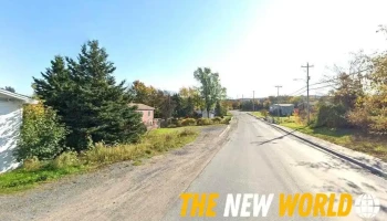 magicwand inc - Carbonear