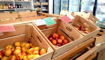 Maitside Orchards - Brussels
