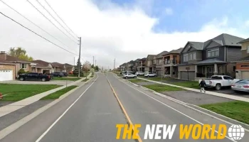 Niksla - Brantford