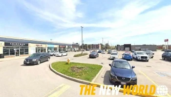 Notary Pro - Alliston