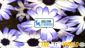 SnazCom It Services Ltd. - Canada