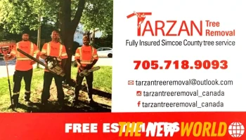 Tarzan Tree Removal Limited, Elmvale On - Elmvale