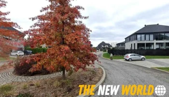 Tech Sg 2020 inc. - Blainville
