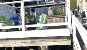The Mermaid Cottage in Cowichan Bay - Cowichan Bay