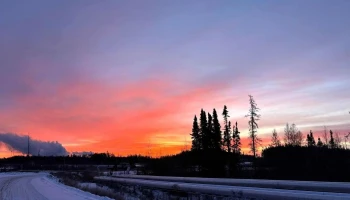 Tom Harris Telus & Koodo Store - Bonnyville