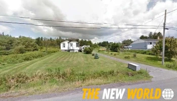 TreeScapes - Cow Bay