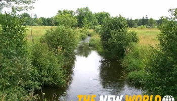 Water's Edge Environmental Solutions Team Ltd. - Cambridge