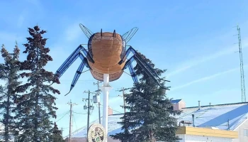 Worlds Largest Bee - Falher