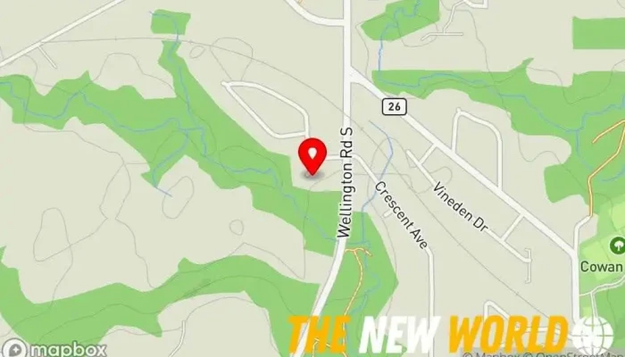 map of 88 Solutions Inc. Business management consultant in St Thomas
