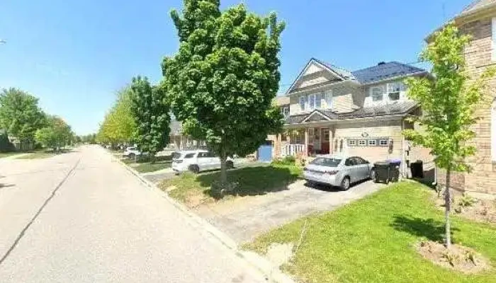 Ability -  All - Alliston