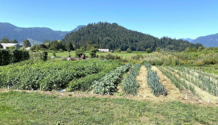 Abundance Community Farm -  All - Agassiz