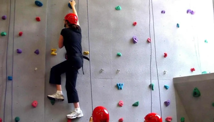 Adventureworks Associates Inc -  By Owner - Ancaster