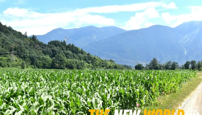 Agassiz Research Development Centre By Owner - Agassiz