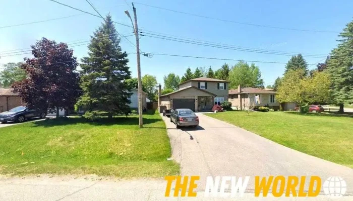 Alliston Design Company - Alliston