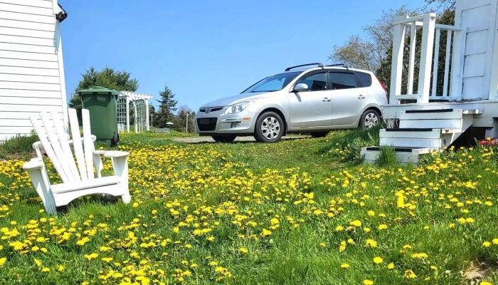 Amherst Taxi - Amherst