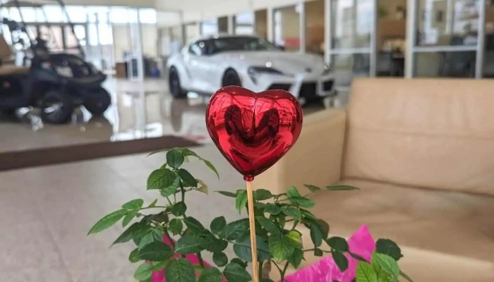 Amherst Toyota Service -  All - Amherst