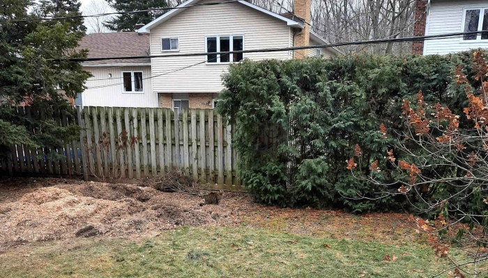 Arboriculture De Beauce -  Comments - Beauceville