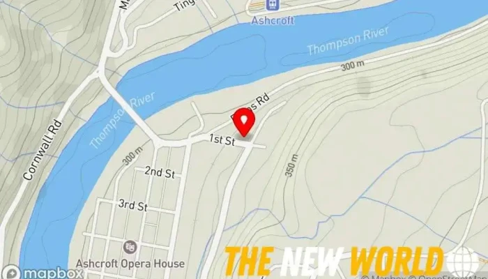 map of Associated Electrical Services Ltd Electrician, Electrical repair shop in Ashcroft