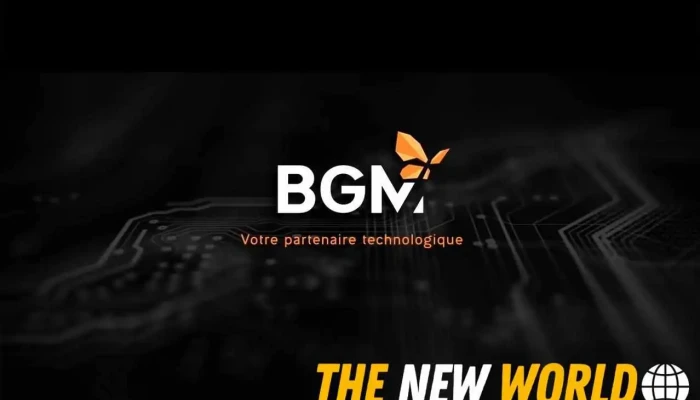 B G M Informatique Inc -  By Owner - Alma