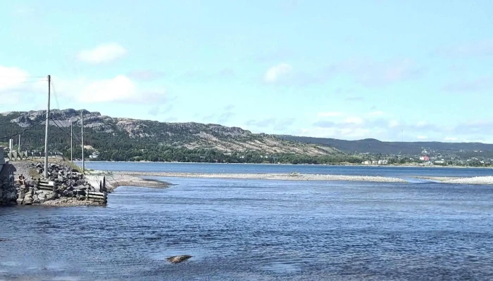 Baccalieu Trail Brewing Co -  Photos - Bay Roberts