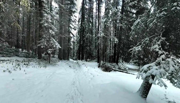 Banff -    Mineral Springs Hospital Street View 360deg - Banff