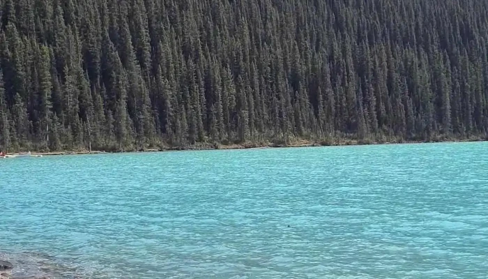 Banff Lake Louise Tourism Videos - Banff