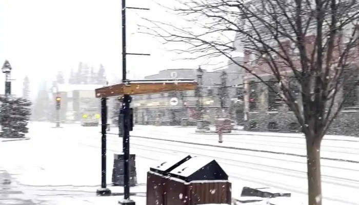 Banff Public Library -  Videos - Banff