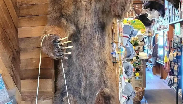 Banff Trading Post -  Latest - Banff