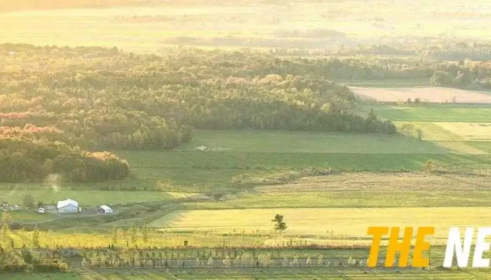 Bdo Canada Llp - Rockland - Rockland