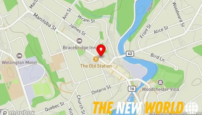 map of Bees Knees Wellness Muskoka Personal trainer in Bracebridge