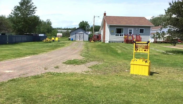 Bessies Cottage All - Botwood