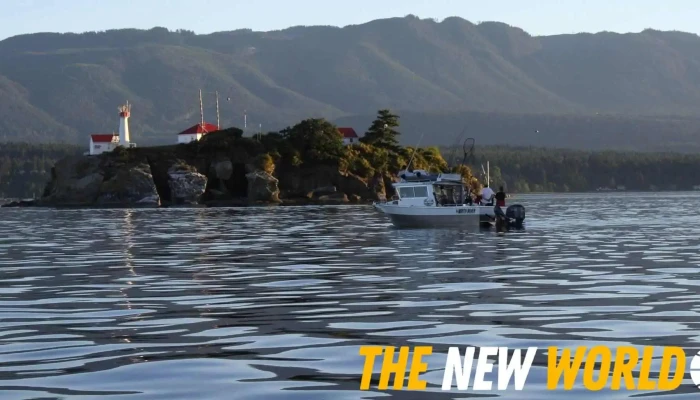 Big Coast Marine Adventures - Denman Island