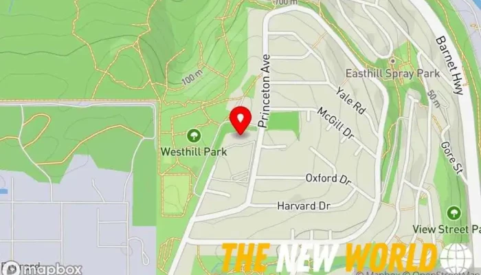 map of Binitsky Sales & Marketing Marketing consultant, Business development service, Business to business service, Internet marketing service, Marketing agency in Port Moody