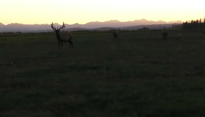 Black Diamond Elk Ranch - South